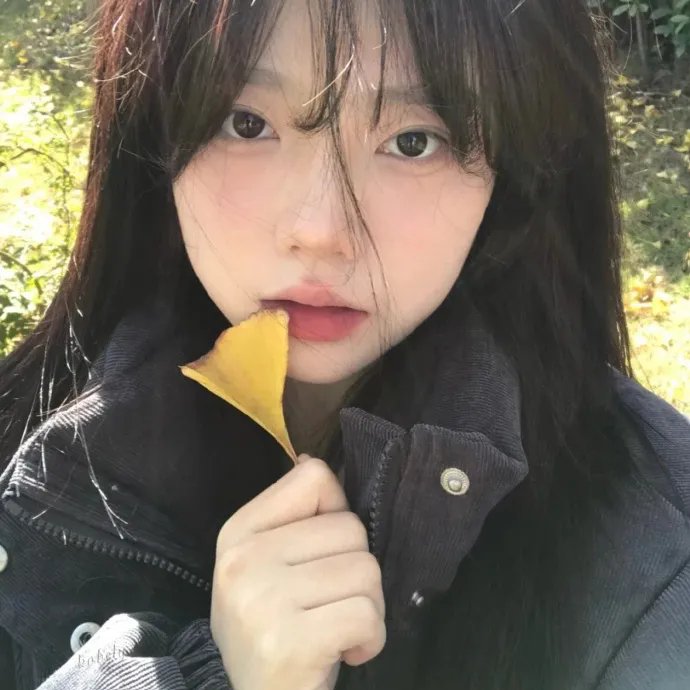 复仇:爱的故事 在线观看封面