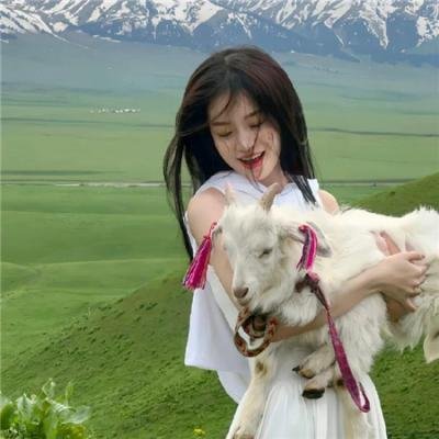 重金摇滚双面人 在线观看封面